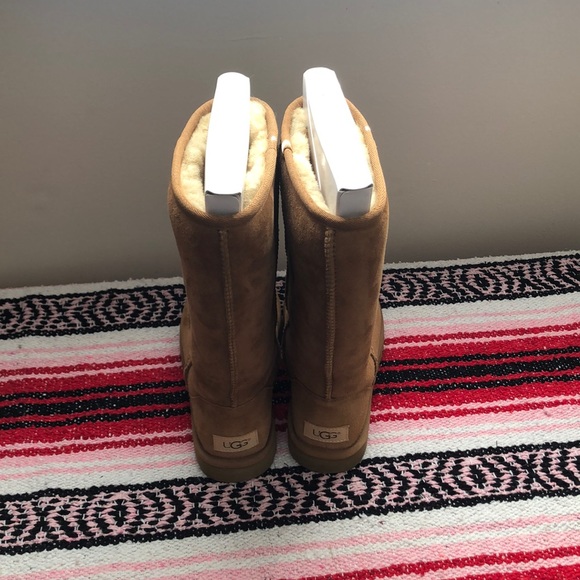 Size 7 Classic Tall II Ugg boot in color Chestnut - Picture 2 of 7